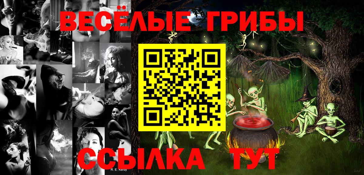 Псилоцибиновые грибы MAGIC MUSHROOMS  Вход с VPN  Электросталь 
